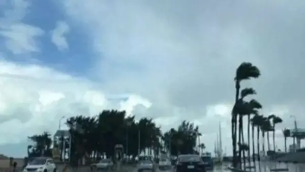 طقس الـ 6 درجات.. شبورة كثيفة وأمطار تضرب عدة محافظات مصرية خلال ساعات