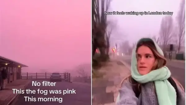 ظاهرة تحول سماء بريطانيا إلى الوردي في ديسمبر تكشف تأثير الرطوبة والضباب على الضوء