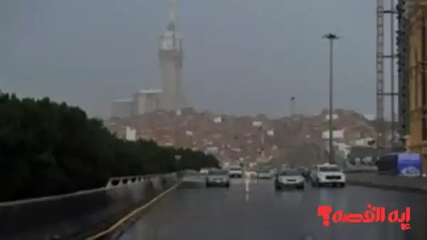 عاجل التعليم السعودية يعلن.. تعليق الدراسة الحضورية اليوم لمدارس 7 مناطق بالسعودية 2025