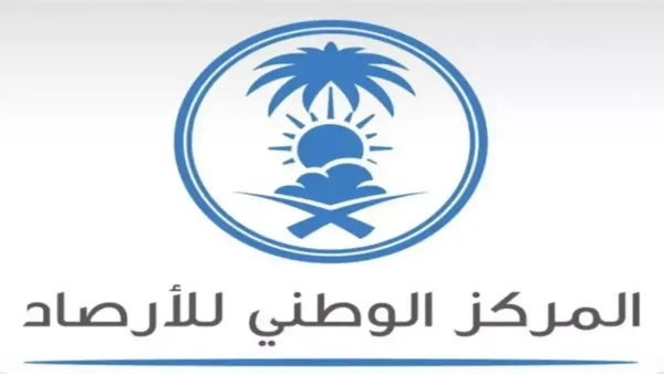 عاصفة مدمرة تهدد 20 محافظة بالرياض برياح قوية وبرد وسيول غدًا