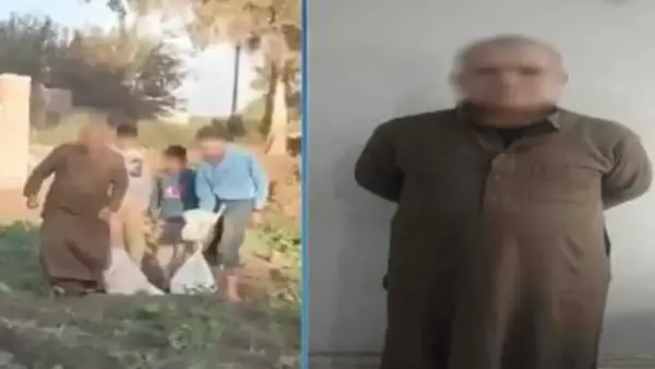 عقوبة الاعتداء على الحيوانات بعد انتشار فيديو جمع كلاب صغيرة للتخلص منها