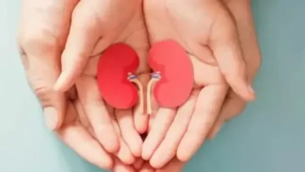 عكس مسار الفشل الكلوي لم يعد مستحيلاً.. علماء يجددون الأنسجة التالفة بتقنية علاجية جديدة.