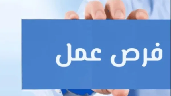 فرص عمل جديدة في 63 شركة بـ13 محافظة تفصيل التخصصات المطلوبة وإجراءات التقديم