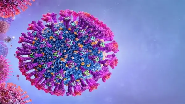 فيروس Rhinovirus يتصدر أسباب تزايد نزلات البرد والزكام وسط تقلبات الطقس