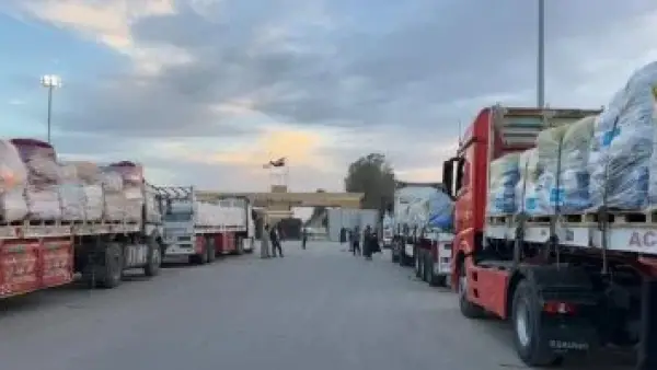 قافلة زاد العزة.. مد غزة بـ 5900 طن من المساعدات الإنسانية الجديدة