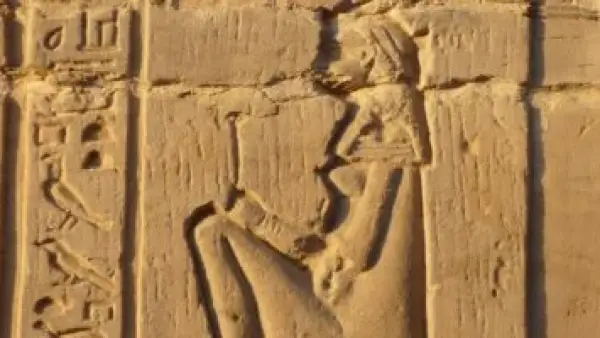 قبل 3500 عام.. استخدم المصريون القدماء القمح والشعير في اختبار حمل تجاوزت دقته 70%.