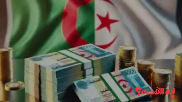 قريبًا.. موعد افتتاح حديقة الحيوان بمصر في عام 2026 وأسعار تذاكر الدخول لمختلف الزائرين