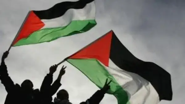 قوافل زاد العزة.. تحرك مصري عاجل لإنقاذ غزة من خطر المجاعة والتدهور الصحي