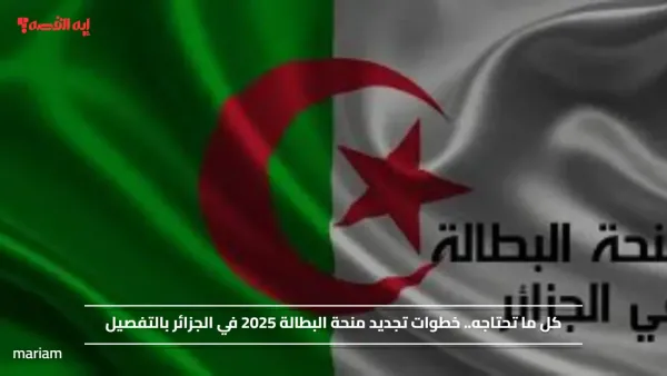 كل ما تحتاجه.. خطوات تجديد منحة البطالة 2025 في الجزائر بالتفصيل