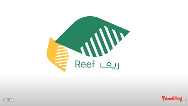 كيفية الاستعلام عن الدعم الريفي 2025 والشروط المطلوبة للحصول على الدعم