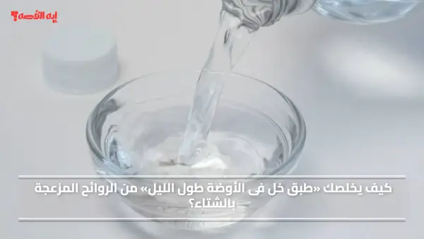 كيف يخلصك «طبق خل فى الأوضة طول الليل» من الروائح المزعجة بالشتاء؟