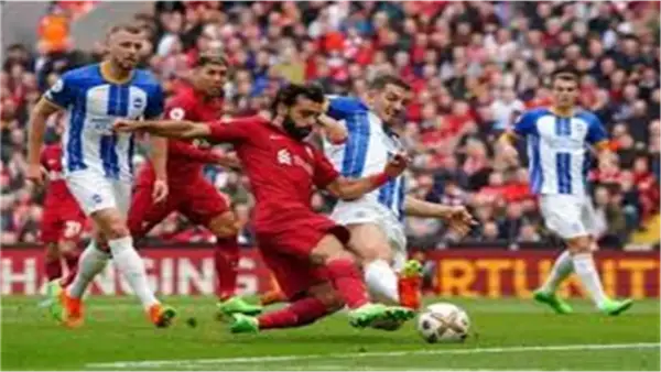 مباراة ليفربول وبرايتون بالدوري الإنجليزي تحدد موقعة صدارة الترتيب وتوقيت النقل التلفزيوني