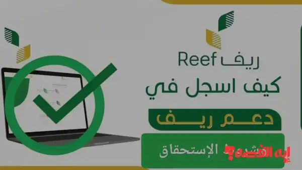 متابعة الطلب.. تسجيل دعم ريف 1447 إلكترونيا بخمس خطوات سريعة ومبسطة