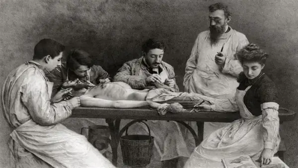 متحف التشريح في ميزون ألفور بباريس يتحول إلى وجهة رعب تجذب آلاف الزوار عبر عرض نادر لجثث بلا جلد