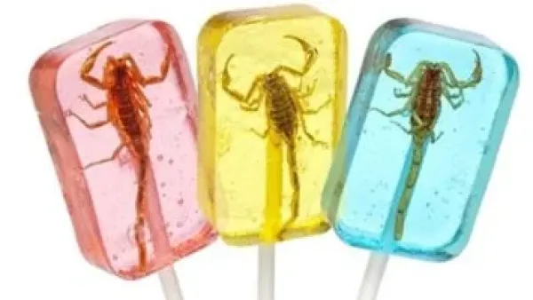 مصاصات بالعقارب وأكياس دم صالحة للأكل.. أغرب ما قد تجده في سلة حلوى الهالوين.