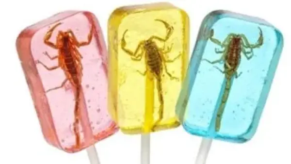 مصاصات بالعقارب وأكياس دم صالحة للأكل.. أغرب ما قد تجده في سلة حلوى الهالوين.