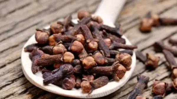 مضغ القرنفل بانتظام.. وسيلة طبيعية لتعزيز المناعة وضبط مستويات السكر.