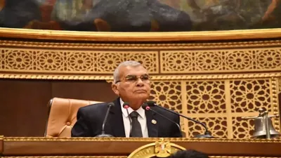 مليونا جنيه غرامة.. مجلس الشيوخ يقر عقوبات مشددة لمواجهة سرقة التيار الكهربائي