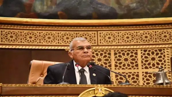 مليونا جنيه غرامة.. مجلس الشيوخ يقر عقوبات مشددة لمواجهة سرقة التيار الكهربائي