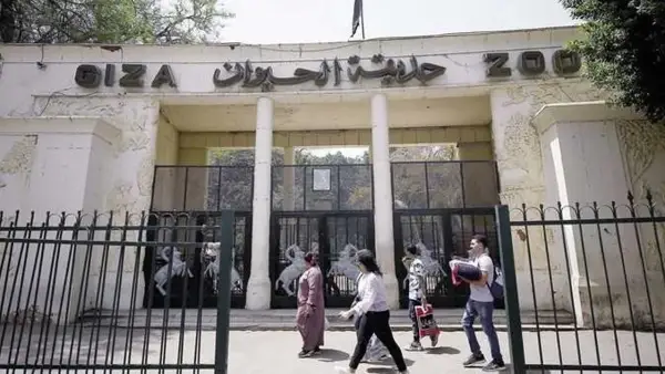 موعد افتتاح حديقة الحيوان بالجيزة في 2025 وتفاصيل التحضيرات التي تستعد لها المدينة
