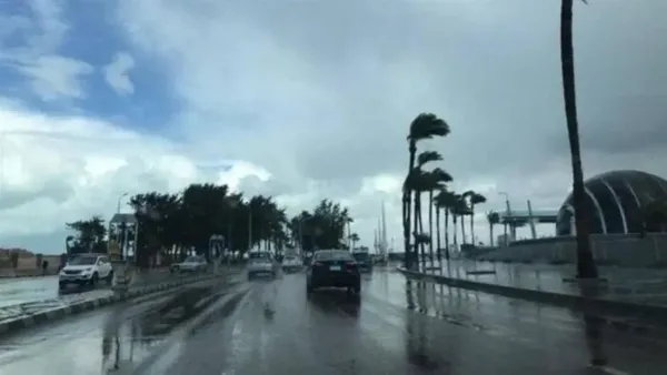 موعد بدء فصل الشتاء رسمياً قبل نهاية ديسمبر وتأثيره على الطقس regional