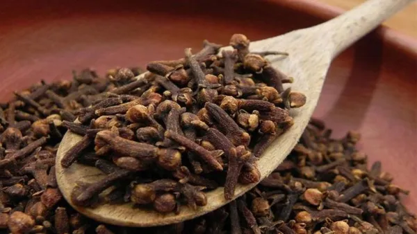 نتائج دراسة جديدة.. هل يساعد تناول القرنفل في خفض ضغط الدم المرتفع؟