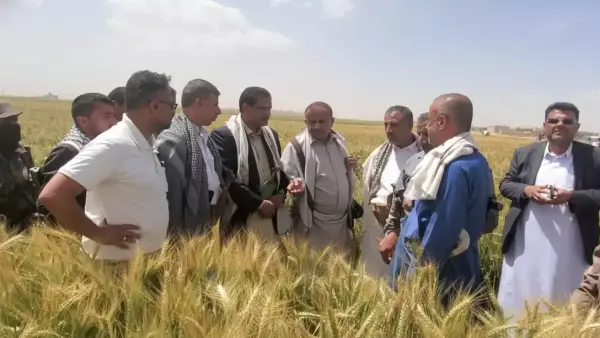 نجاح مزارعي ريمة في زراعة الزيتون بنسبة 100% خلال موسم واحد يعكس تحسّنًا غير مسبوق في الإنتاج الزراعي