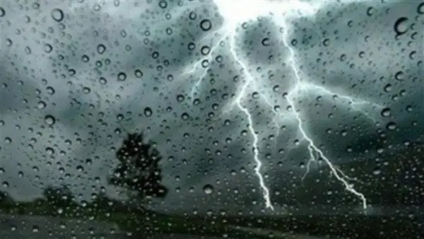 نصائح الكهرباء الأساسية لتجنب الصعق الكهربائي أثناء الأمطار: كيف تحافظ على سلامتك في الشوارع