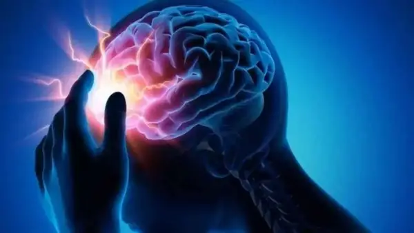 نمو الدماغ يستمر حتى سن 32: دراسة جامعة كامبريدج تكشف مراحل تطور الدماغ البشري