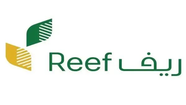 هُنا.. رابط استعلام دعم ريف ديسمبر 2025 الآن للمستفيدين وجميع الشروط المطلوبة
