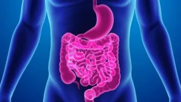 وداعًا للانتفاخ والكسل.. تطهير القولون طبيعيًا يبدأ من 7 أطعمة بسيطة.