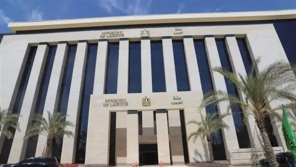 وزارة العمل تعلن 190 وظيفة برواتب تصل إلى 25 ألف جنيه شهريًا مع شروط وتخصصات واضحة للمتقدمين