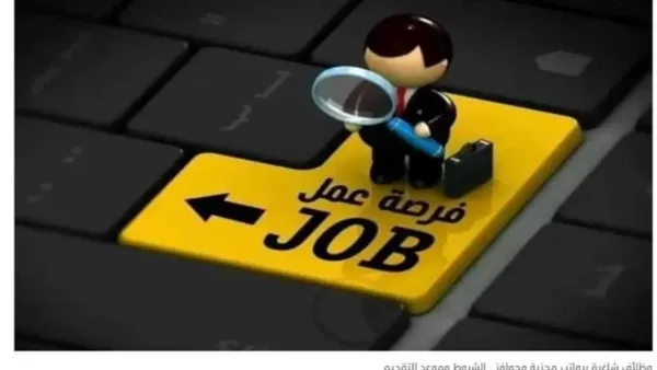 وظائف الشباب والرياضة برواتب تتجاوز 14 ألف جنيه وأرباح مبيعات تلبي طلبات التخصصات المطلوبة