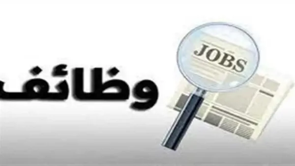 وظائف وزارة الشباب برواتب تتجاوز 10 آلاف جنيه وشروط التقديم المحددة