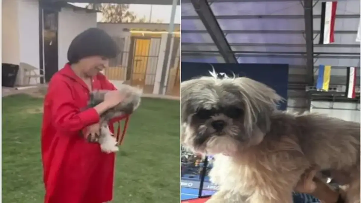 وفاة كلب في ثوانٍ تمنع صاحبتها من مواجهة الفقد وتقودها لتحدي قانوني حول حقوق الحيوانات