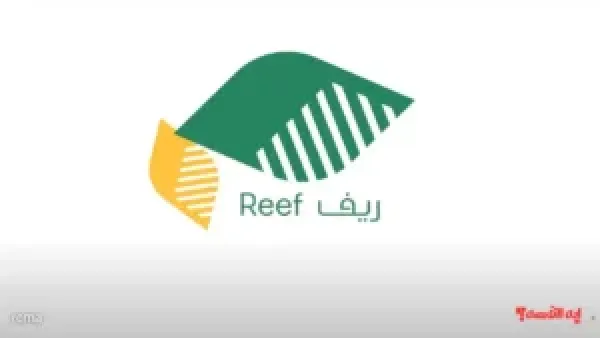كيفية الاستعلام عن الدعم الريفي 2025 والشروط المطلوبة للحصول على الدعم
