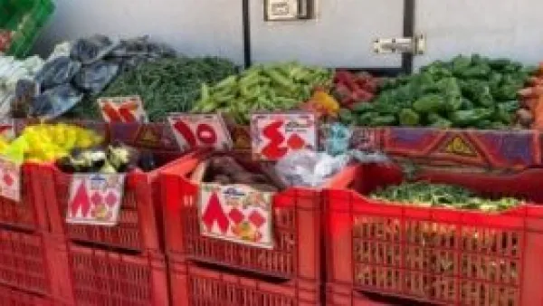 أسعار الخضراوات بمحافظة المنيا الاثنين 24 نوفمبر 2025 بأحدث التفاصيل