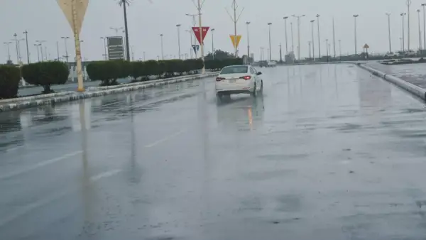 موجة قطبية رابعة.. الحصيني يحذر من ثلوج وأمطار غزيرة تضرب 7 مناطق سعودية