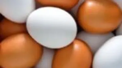 الكرتونة بـ125 جنيها.. أسعار البيض داخل أسواق كفر الشيخ في تعاملات الأحد