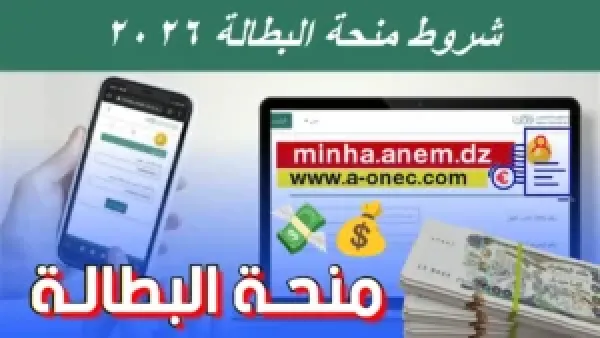 تحديث جديد بعد الزيادة.. تعرف على شروط منحة البطالة 2026 الجزائر وقيمة المنحة بعد قرار رئيس الجمهورية