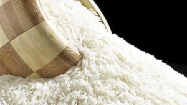سعر طن الأرز الشعير يشهد تحديثًا اليوم الأربعاء 19-11-2025 وتأثيره على السوق المحلية