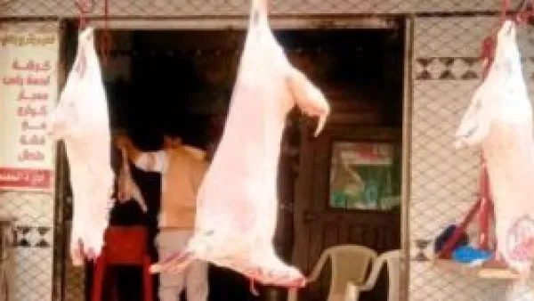 أسعار اللحوم في كفر الشيخ تسجل قفزة جديدة.. والكيلو يتجاوز حاجز الـ 400 جنيه بالأسواق.