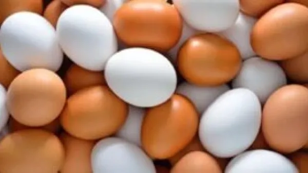 ارتفاع سعر البيضة إلى 4.5 جنيه في سوهاج واستقرار أسعار الفول والعدس