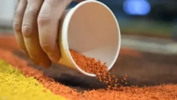 رمال ملونة سامة في ساحات اللعب تجبر أستراليا على إغلاق مدارسها.