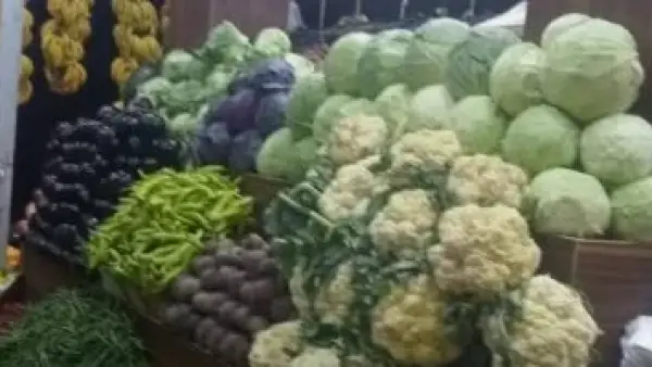 تحديثات الأسعار بأسواق قنا.. قائمة تكلفة الخضراوات والفاكهة ليوم الأربعاء بمراكز المحافظة