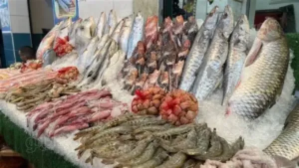 سعر السمك اليوم في سوق العبور: انخفاض البلطي وارتفاع أسعار الجمبري 50 جنيهاً
