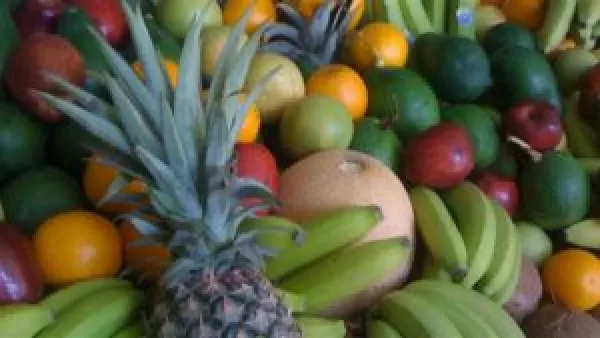 تحديث أسعار الخضروات والفاكهة في السوق المحلية الخميس 20 نوفمبر 2025 وأثرها على المستهلكين