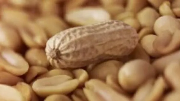 متى يتحول الفول السوداني من غذاء صحي إلى خطر يهدد الكبد؟