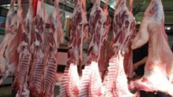 أسعار اللحوم البلدي في كفر الشيخ تسجل تباينًا واضحًا الجمعة 21 نوفمبر 2025