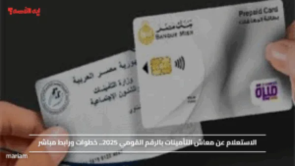 الاستعلام عن معاش التأمينات بالرقم القومي 2025.. خطوات ورابط مباشر